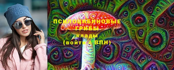 МДПВ Горняк