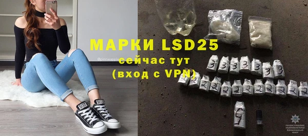 МДПВ Горняк