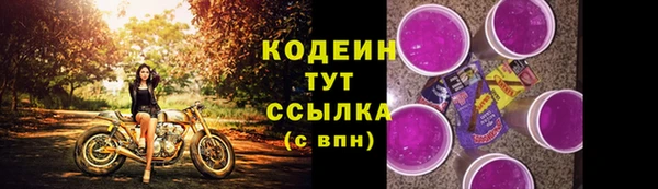 МДПВ Горняк