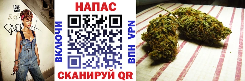 купить   Мещовск  Конопля MAZAR 